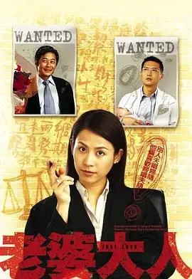 《老婆大人 普通话版》：当萌妻遇上霸道总裁，笑料百出的婚姻喜剧！