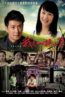 《我是一棵小草》：朴实无华的年代情感，看完心头五味杂陈！