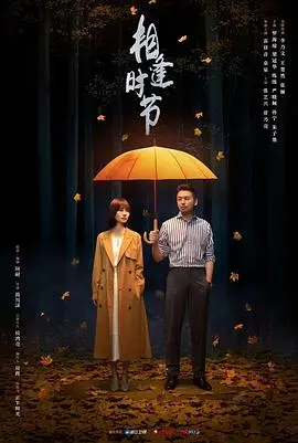 《相逢时节》：中年人的爱恨情仇，看得我这个社畜肝都疼了！