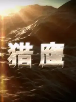 《代号猎鹰》：潜伏在暗处的致命一击，这特工比007还骚！